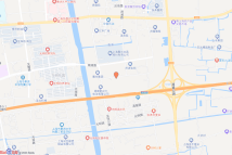 奉贤区奉贤新城12单元29A-02A区域地块电子地图