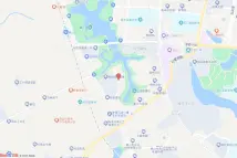 狮山镇兴业路东侧地段电子地图