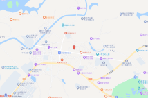 湖镇镇圩镇富裕路地段（2021（储备）2号）电子地图