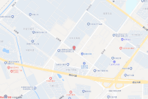 高新区,东至宇光街、西至光谷大街电子地图