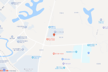 凤凰湖产业园P49-02/02-2地块电子地图