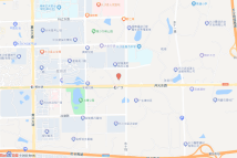 [2021]长沙县070号电子地图
