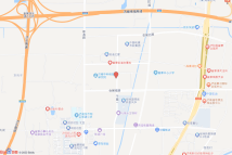 先行区崔寨片区中科新经济科创园D-3地块电子地图