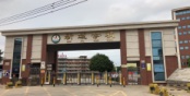 新域学校