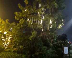 次新小区,户型方正临近地铁环境优美