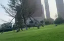 德泰人才公园实景图