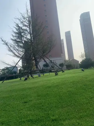 德泰人才公园实景图