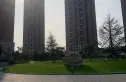 德泰人才公园实景图