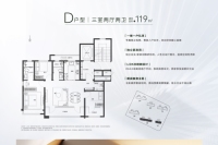 D-119平3室2厅2卫