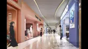效果图