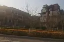 中洲半岛城邦实景图