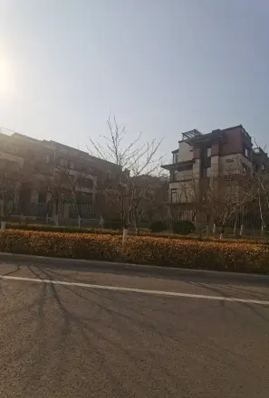 中洲半岛城邦实景图