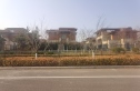 中洲半岛城邦实景图