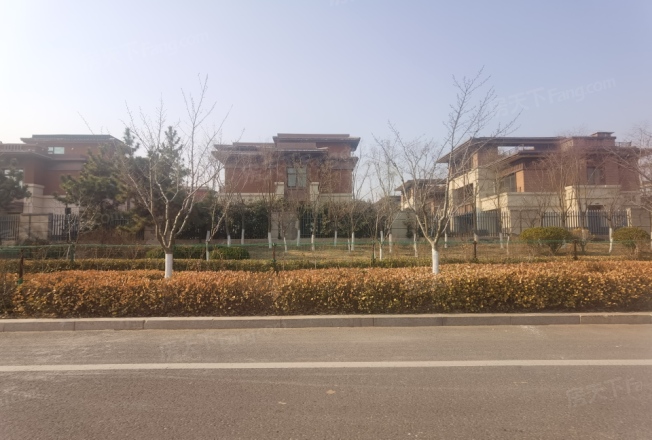 中洲半岛城邦实景图
