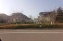 中洲半岛城邦实景图
