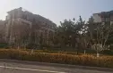 中洲半岛城邦实景图