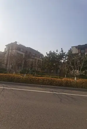 中洲半岛城邦实景图