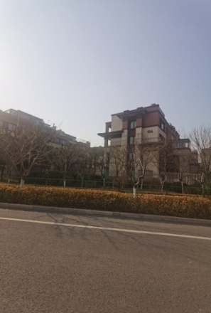 中洲半岛城邦实景图