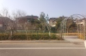 中洲半岛城邦实景图