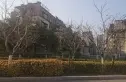 中洲半岛城邦实景图