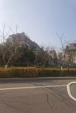 中洲半岛城邦实景图
