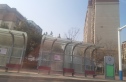 中洲半岛城邦实景图