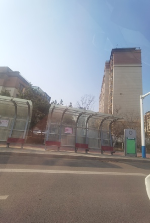 中洲半岛城邦实景图