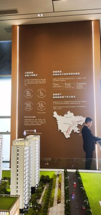 鼎能国宾天韵实景图