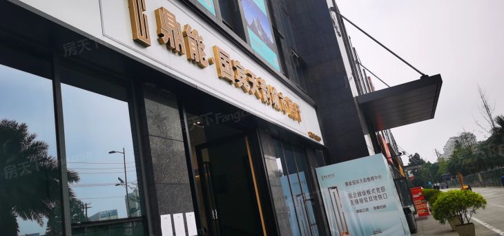 鼎能国宾天韵实景图