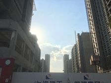 三林·中企云萃森林·3室·2厅