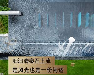 桂语兰庭绿城小区绿化好居住体验舒适