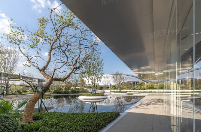姚玖湾实景图