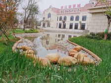 急急急卖翡翠城套三双卫41.8万