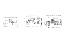 腾冲国际旅游体育健身休闲公园10室6厅3厨9卫建面254.47㎡