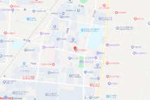 定兴县金街以西2023012地块电子地图