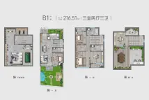 云峰·凤麟九里B1户型