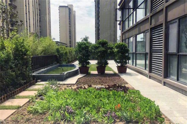 房天下>渭南新房>华阴市楼盘>山水观园>山水观园怎么样>房***讯的点评