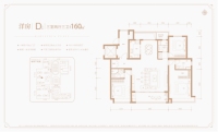 洋房D户型160㎡
