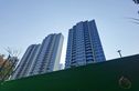 保亿·嵩江润园实景图