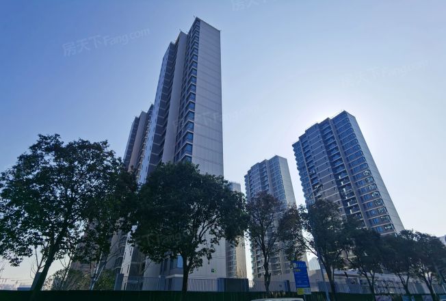 保亿·嵩江润园实景图