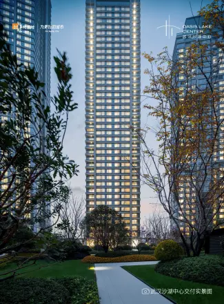 武汉沙湖中心商住楼实景图