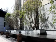 二七万达旁 次新小区 人车分流 精装3房崭新 拎包入住