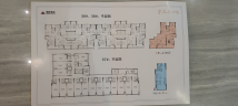 郸城建业新城36#、37#、38#平层图