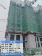 工地实景(2024-1-20)