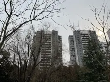 次新小区 理想城花园 好楼层 看房方便