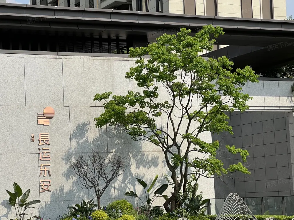 实景图
