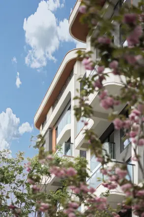 花样年霍克尼的好时光实景图