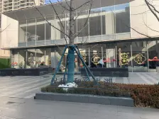 楼前洋房采光无遮挡 视野开阔婚房精装全屋定制 随时看