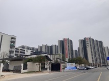 中海金地·未来城实景图