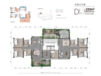 233㎡D1-1户型